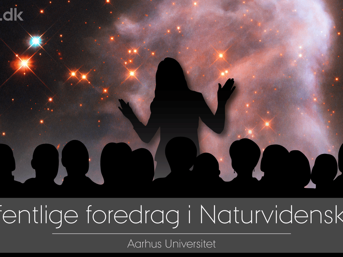 Bålbygning med hygge og foredrag i Ravnsbjerghus fra Aarhus&nbsp;Universitet