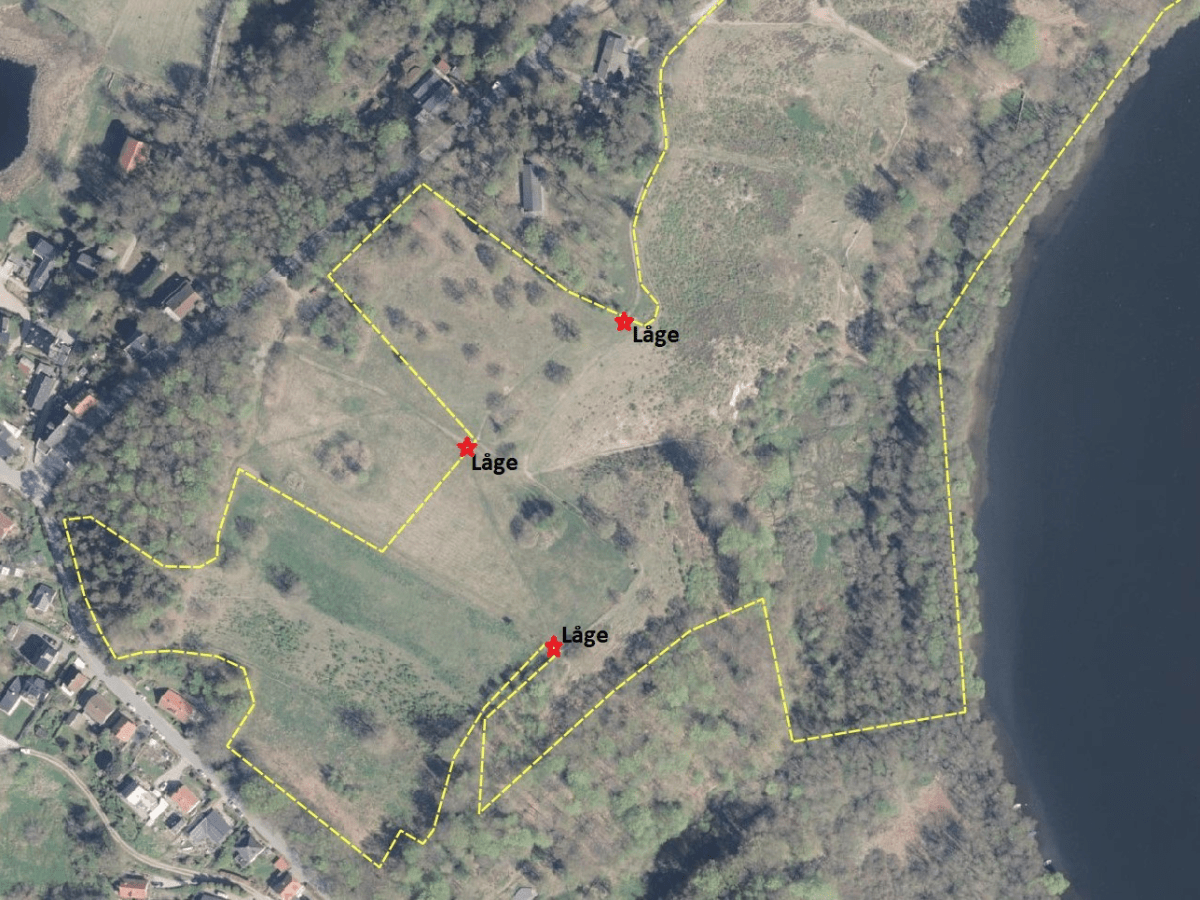 Naturstyrelsen gør græsningsfolde klar til&nbsp;brug