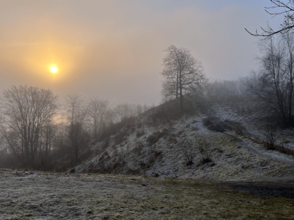 Referat fra bestyrelsesmøde i beboerforeningen
